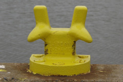 pinse-025